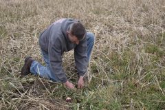 Pete-Badtke-cover-crops