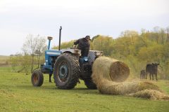 Logan-Dwyer-feeding-hay