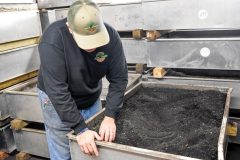 Worm beds are carefully managed to achieve the optimum moistureand temperature for the worms. The base of the worm bed is madefrom black peat moss and mineral supplements for the worms.