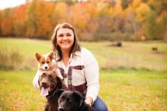 Savannah has three dogs, a Chocolate Labrador Retriever (Zoey); Chocolate Labrador Retriever/Border Collie (Bella) and a Corgi (Stella).
