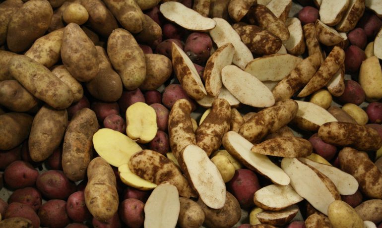 bunch of sliced and whole potatoes
