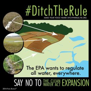 Ditch the Rule Inforgraphic