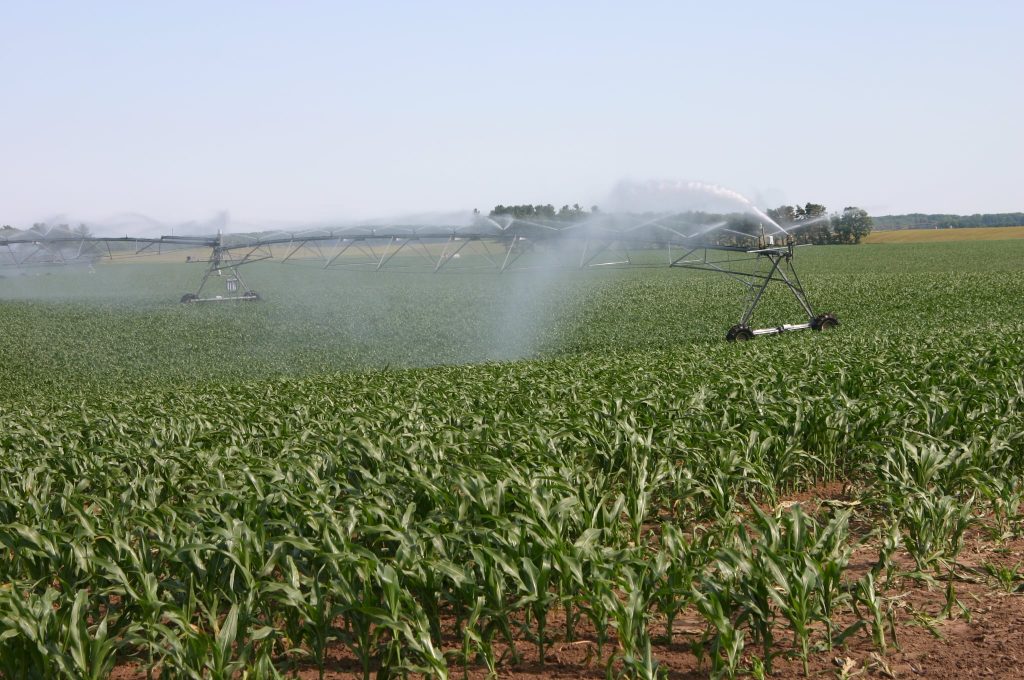 corn irrigation closeup2