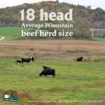 Beef Facts3
