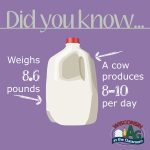 June Dairy Month Facts10