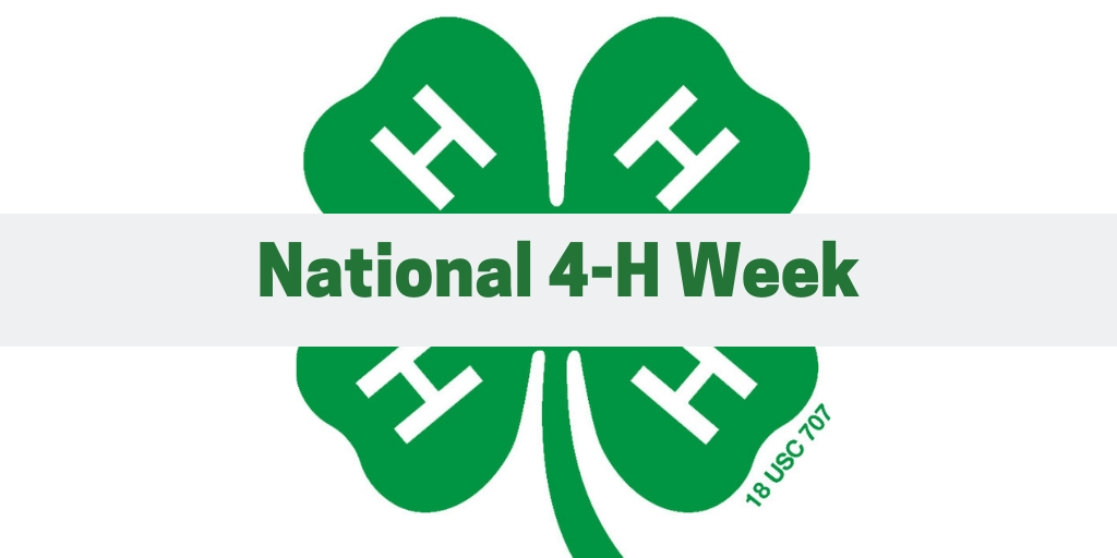 Celebrate National 4H Week Wisconsin Farm Bureau Federation