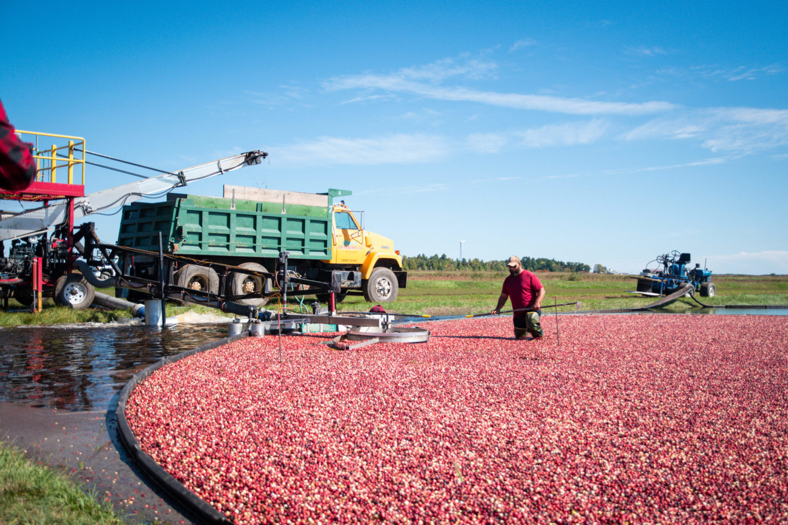 The Cranberry's Sustainable Splash Wisconsin Farm Bureau Federation