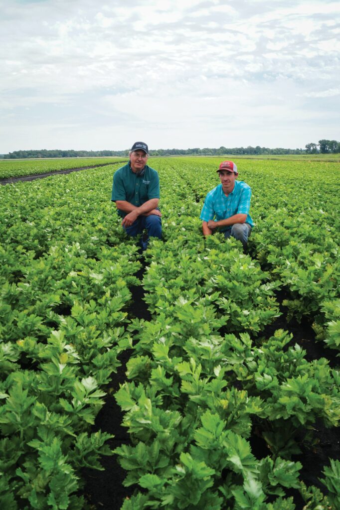 Celery Crop Makes Trembling Prairie Farms Unique Wisconsin Farm