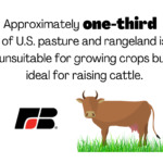 Information courtesy of Wisconsin Beef Council