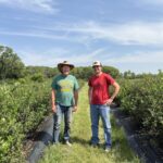 two men stand in a berry patch